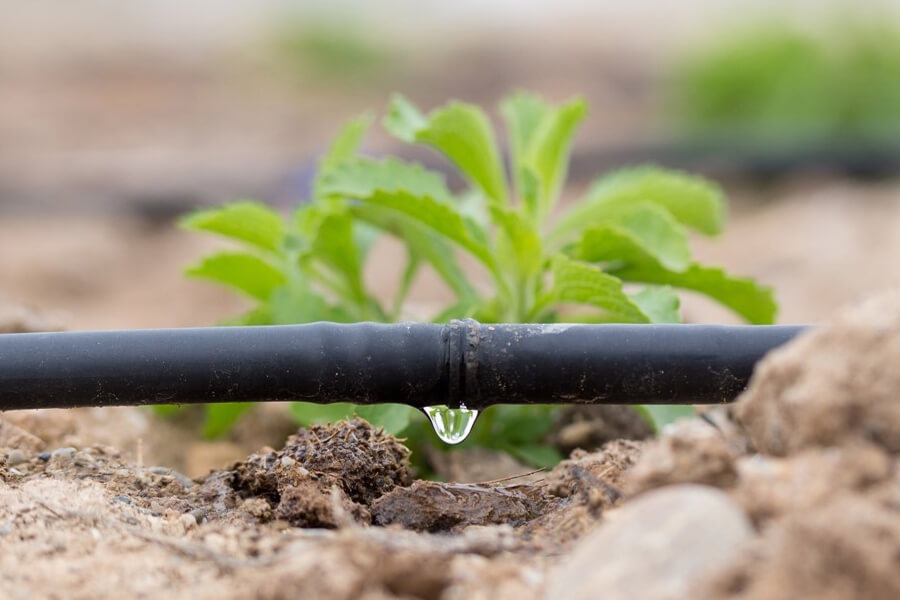 rieggo® Rotoplas fortalece sus capacidades con la adquisición de HiTech Irrigation México